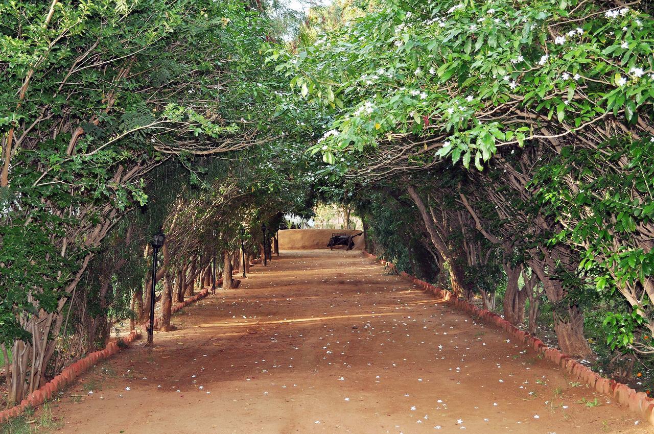 Tiger Machan Resort Ranthambore Exteriér fotografie